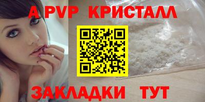 шишки Донской