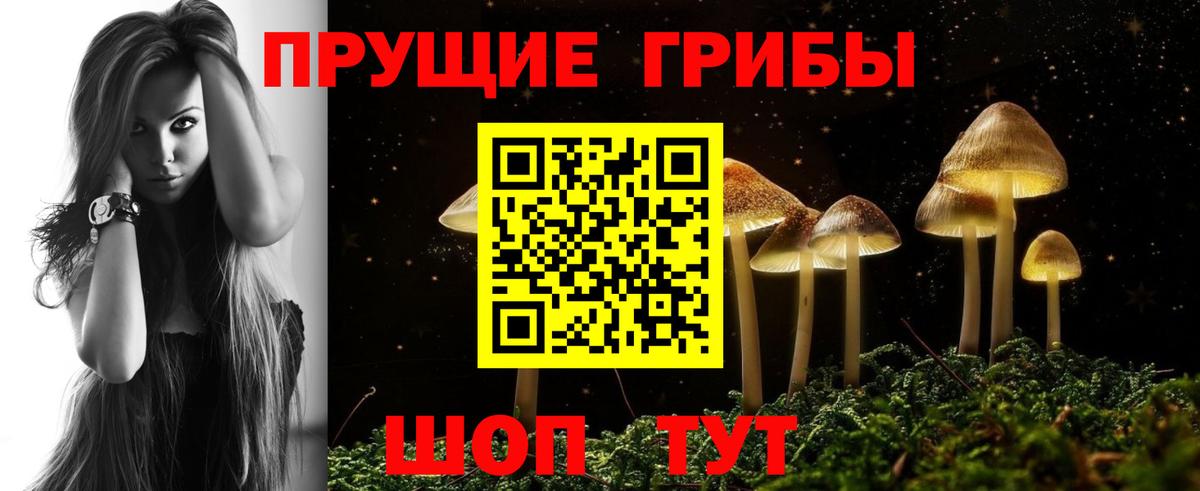 Псилоцибиновые грибы мухоморы Зеленогорск