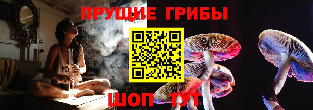 Псилоцибиновые грибы прущие грибы  Вход с VPN  Зеленогорск 